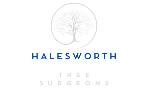 Halesworth Trees Logo Transparent